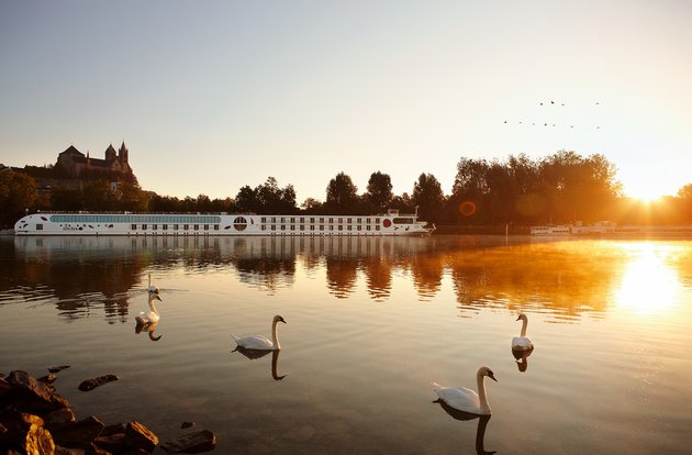 The A-ROSA AQUA is docked at a pier in the early morning at sunrise with calm water. In the foreground, swans are swimming near the shore.