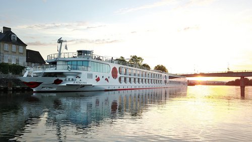 River cruise ship A-ROSA VIVA on the shore at sunset with a bridge in the background.