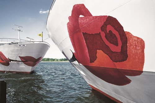 Close-up of a river cruise ship in the A-ROSA fleet with a distinctive rose on the bow in the foreground. Opposite is a second A-ROSA ship with a view of the bow.