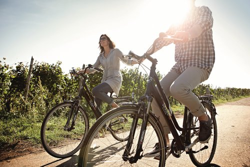 A couple is riding bicycles from A-ROSA along a field of vines in the sunshine, holding hands.