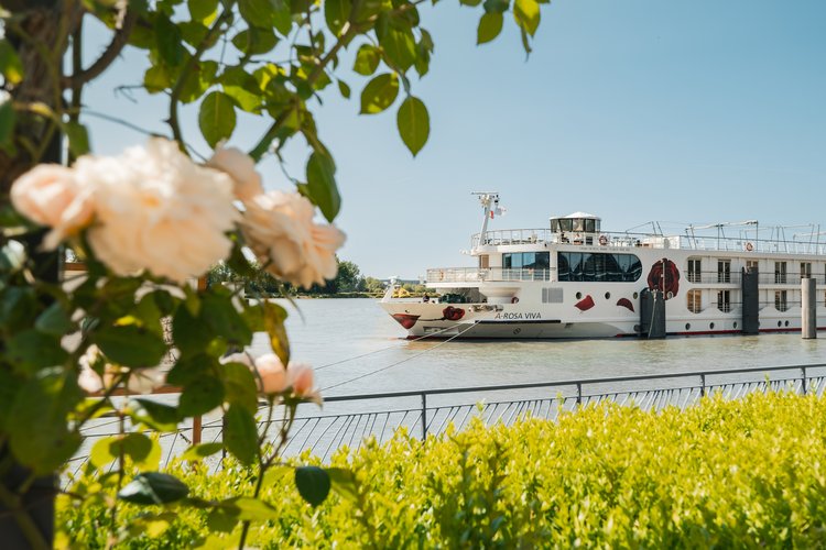A-ROSA has opened bookings for the 2025 season. Photo: A-ROSA River Cruises
