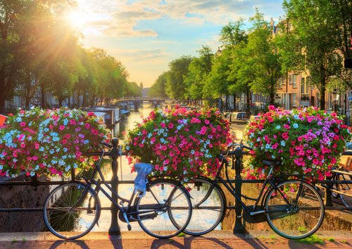 Blumenbepflanzte Brücke über einen Kanal in Amsterdam mit zwei geparkten Fahrrädern und Sonnenlicht am späten Nachmittag