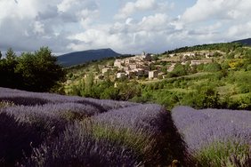Guests aboard A-ROSA LUNA and A-ROSA STELLA will have plenty of time to discover the Provence in 2025. Photo: A-ROSA River Cruises