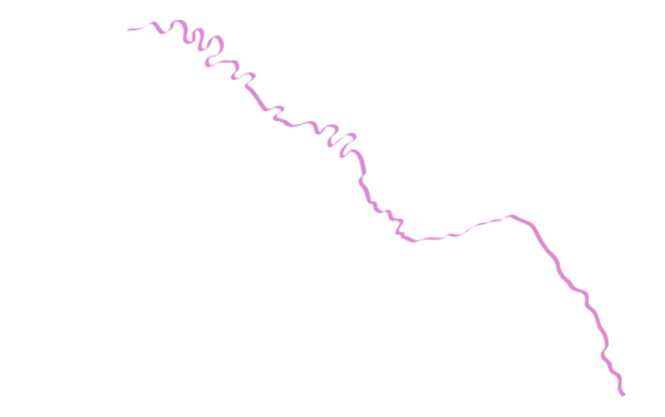 Route map of the Seine without ports